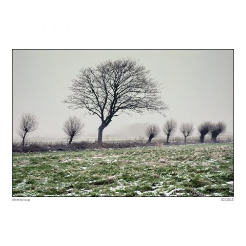1302_083_sf_neu