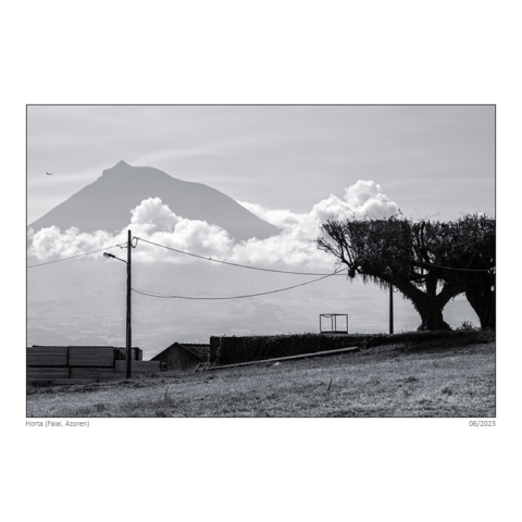 2306_azo_0424_sf_neu