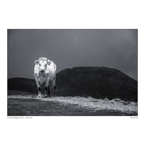 2306_azo_0639_sf_neu