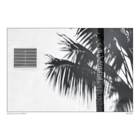 2403_lapa_197_sf_neu