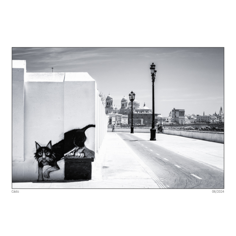 2406_anda_194_sf_neu