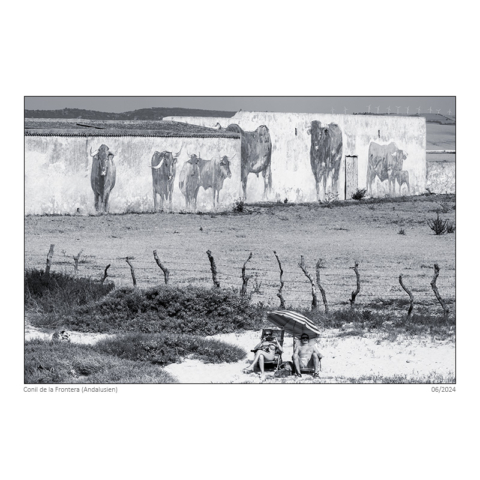 2406_anda_256_sf_neu